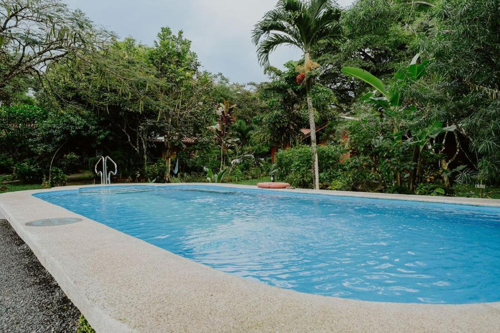 Mirador - Great Swimming Pool - Kitchen - Bbq - Netflix Lodge Tajo Alto