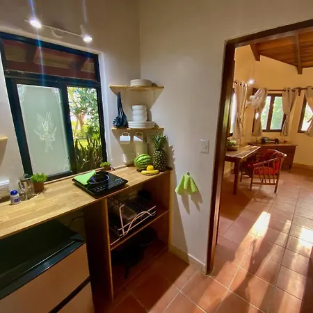 Lodge Mirador - Great Swimming Pool - Kitchen - Bbq - Netflix Tajo Alto Exterior photo