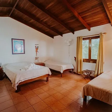 Lodge Mirador - Great Swimming Pool - Kitchen - Bbq - Netflix Tajo Alto Exterior photo