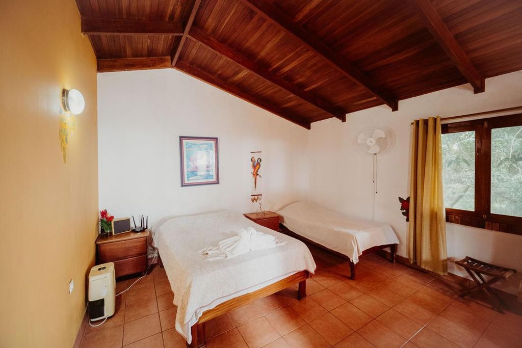 Lodge Mirador - Great Swimming Pool - Kitchen - Bbq - Netflix *