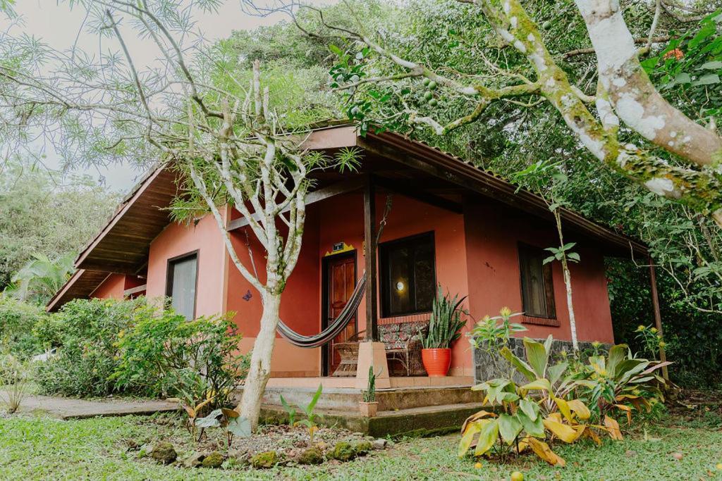 Mirador - Great Swimming Pool - Kitchen - Bbq - Netflix